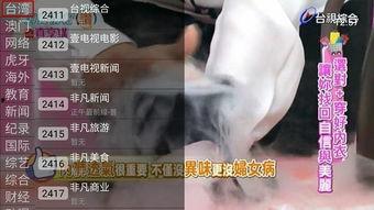 91看电视直播倒闭了吗