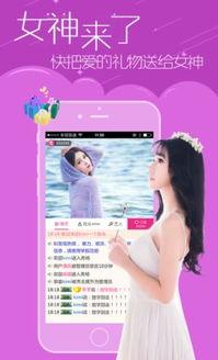 91直播怎么打不开,排查与解决方法全解析